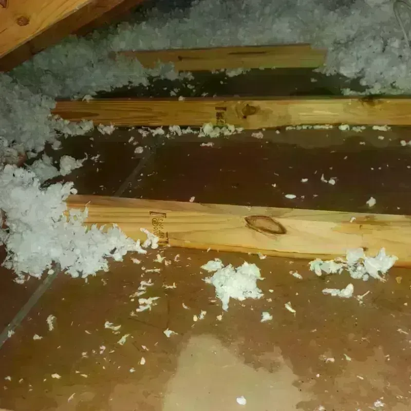 Attic Water Damage in Aliso Viejo, CA