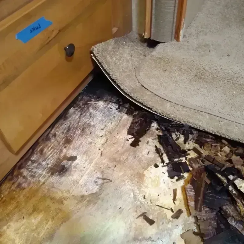 Wood Floor Water Damage in Aliso Viejo, CA